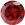 GARNET